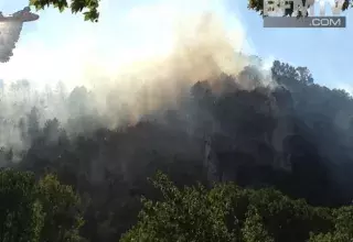  Environ 50% des surfaces brûlées sont constituées de zones forestières, 50% de terres agricoles... (Photo: témoin BFM.com)