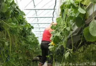 France : des Marocains réduits à l'esclavage dans le Lot-et-Garonne, une affaire troublante