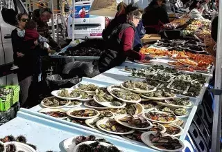 Marseille : les oursinades de la Côte Bleue, une joyeuse tradition des amateurs de produits de la mer