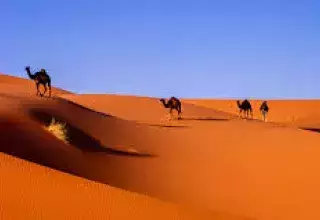 La magie du Sahara, un nouveau souffle pour le développement touristique