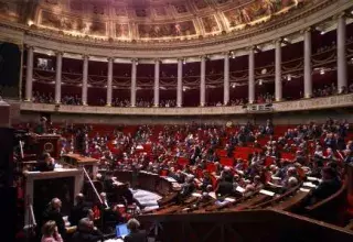 Incident à l'Assemblée nationale française... (DR)