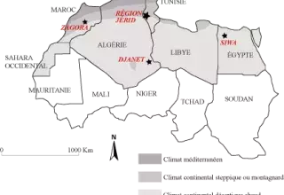 Bilan 2011 : La montée en puissance des partis islamistes en Afrique du Nord