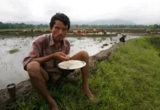 578 millions de personnes vivant en Asie n'ont pas suffisamment de nourriture (leportailcitoyen.com)