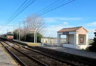 La circulation des trains a repris à partir de 11h30, suite à ce drame intervenu vers 5h45 dans le secteur de la gare de Vic-Mireval. (© N.E)