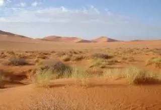 Algérie: fin tragique pour des dizaines de migrants nigeriens dans le sud du Sahara