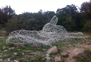 Un pot commun a été lancé sur le web pour sauver le loup du Pic Saint-Loup. 