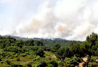  France : 90 hectares brûlés par le violent incendie à Narbonne 