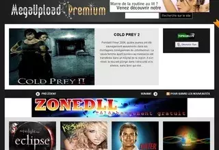 Le fondateur du site Megaupload été arrêté ce jeudi en Nouvelle-Zélande.