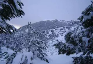 De nombreux villages isolés par le neige en Kabylie. (DR)