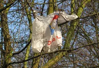 La Commission européenne adopte une proposition pour réduire l'utilisation des sacs en plastique en UE