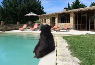 Pour Union-Matériaux, Viviane a forcément passé 15 jours au bord d'une piscine...